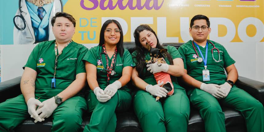 Peludos veterinaria y peluquería canina santo domingo