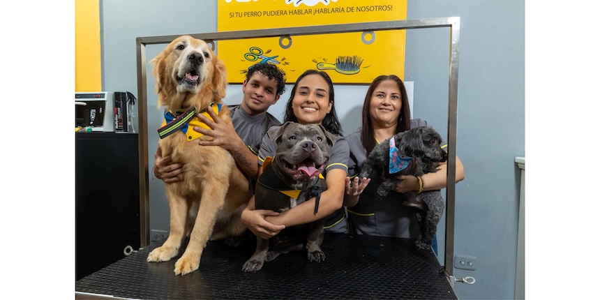 Pet Grooming santo domingo