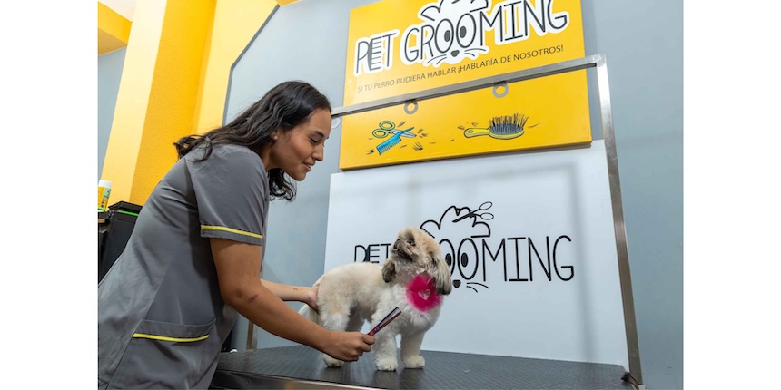 Pet Grooming santo domingo