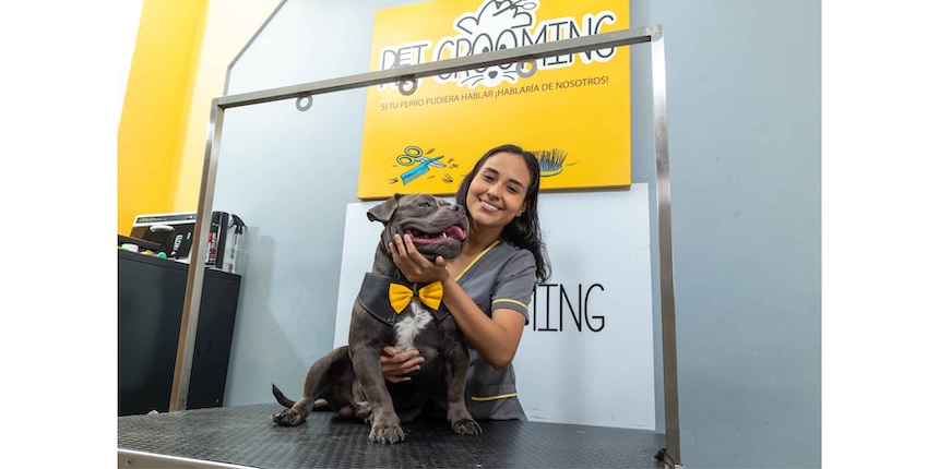 Pet Grooming santo domingo