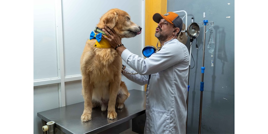 Pet Grooming santo domingo