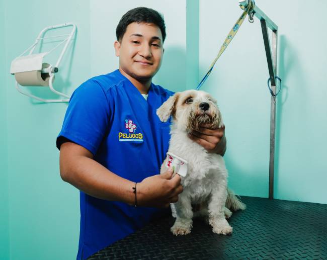 Peludos veterinaria y peluquería canina santo domingo