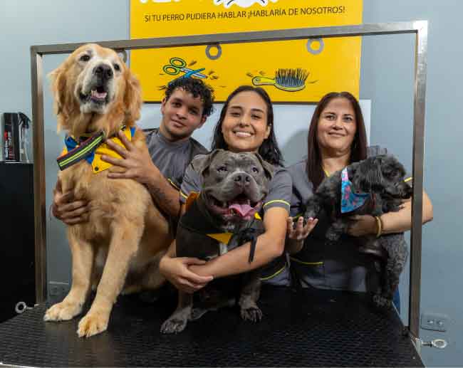 Pet Grooming santo domingo