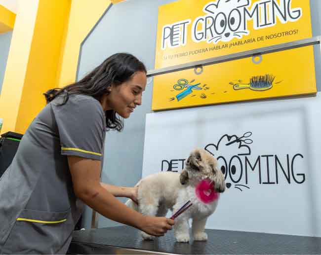 Pet Grooming santo domingo