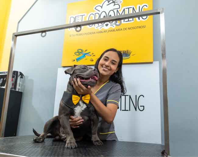 Pet Grooming santo domingo