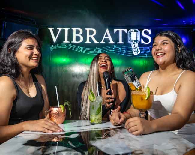 Vibratos Bar Karaoke santo domingo
