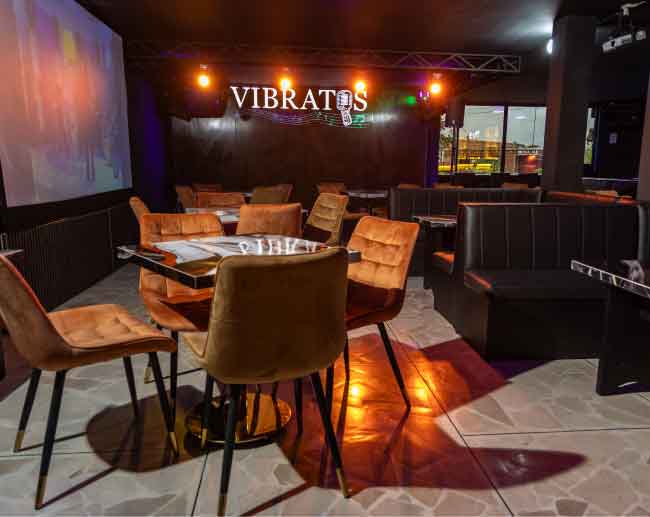 Vibratos Bar Karaoke santo domingo